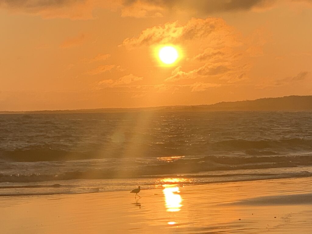 Galapagos Sunset